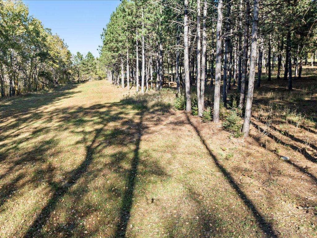 30091 Huntersville Road Sebeka, MN 56477 - Photo 4 of 18