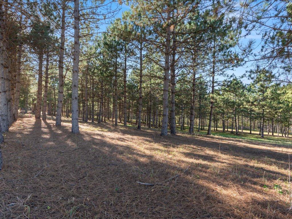 30091 Huntersville Road Sebeka, MN 56477 - Photo 7 of 18