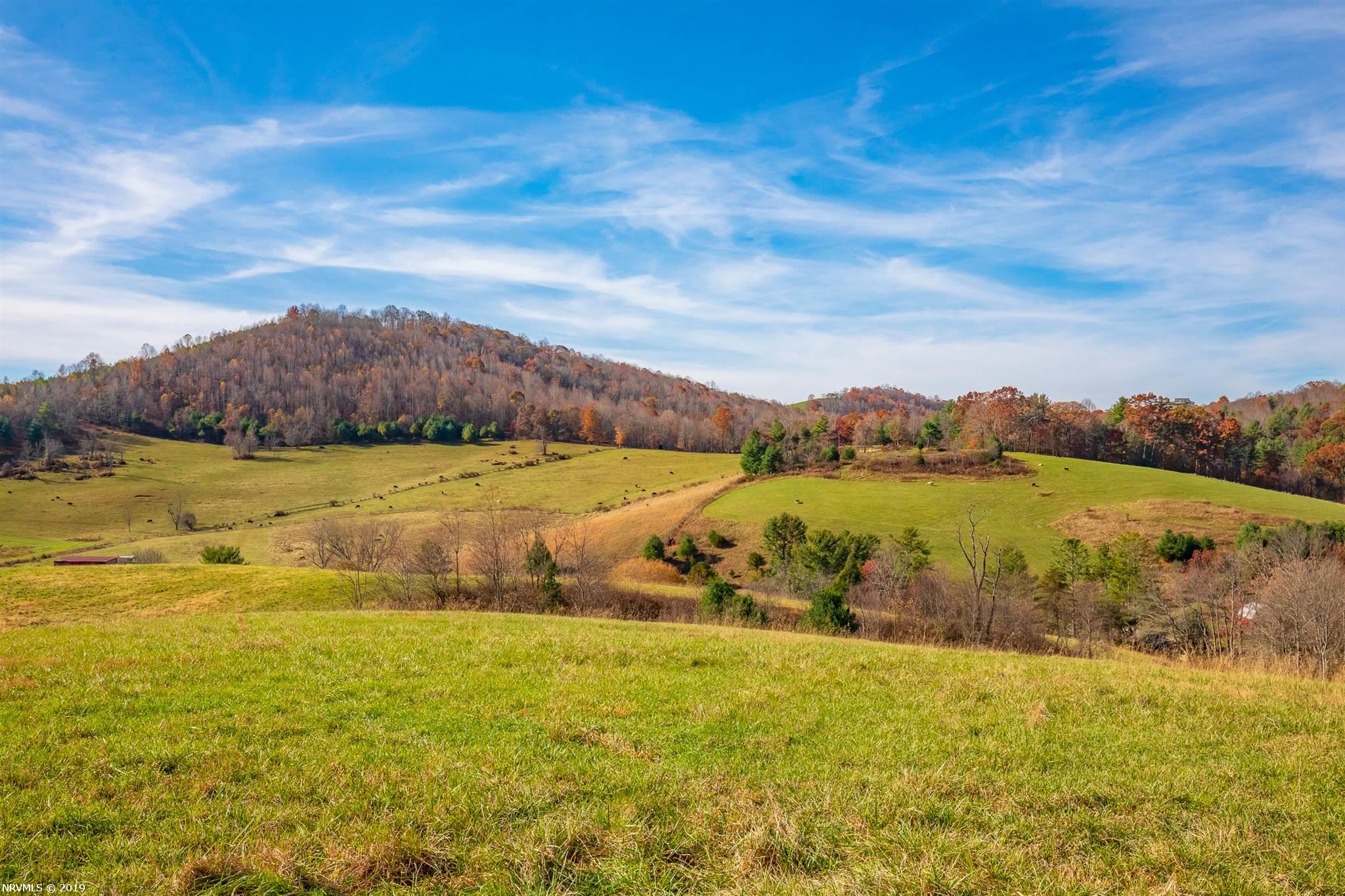 145 Silver Leaf Road Dugspur, VA 24325 - Photo 101 of 121 Gallery Image 101