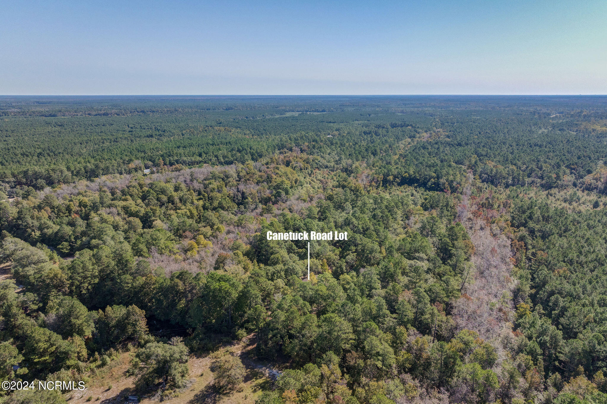 6715 Canetuck Road Currie, NC 28435 - Photo 33 of 74 6621CanetuckDrone-11