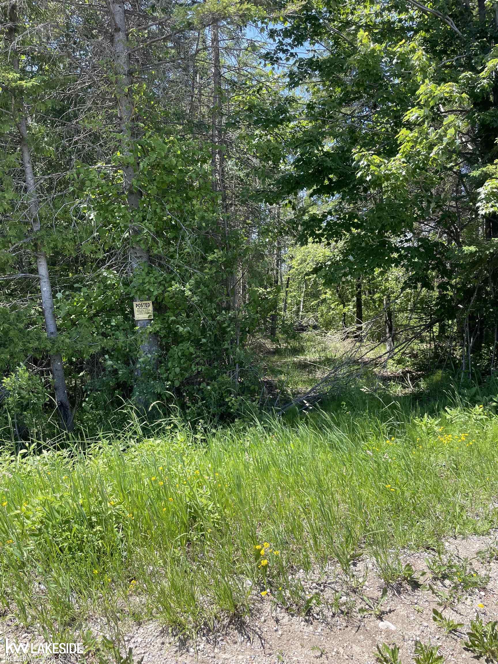14027 Goebel Road Cheboygan, MI 49721 - Photo 2 of 4