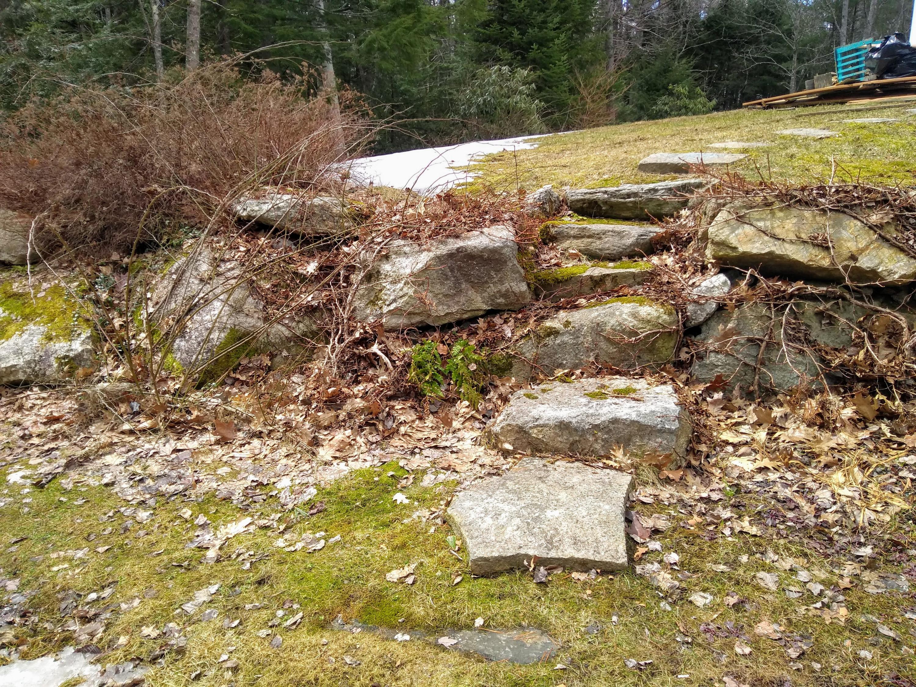 50 Oak Ridge West Wiscasset, ME 04578 - Photo 11 of 37 IMG_20190416_132149180