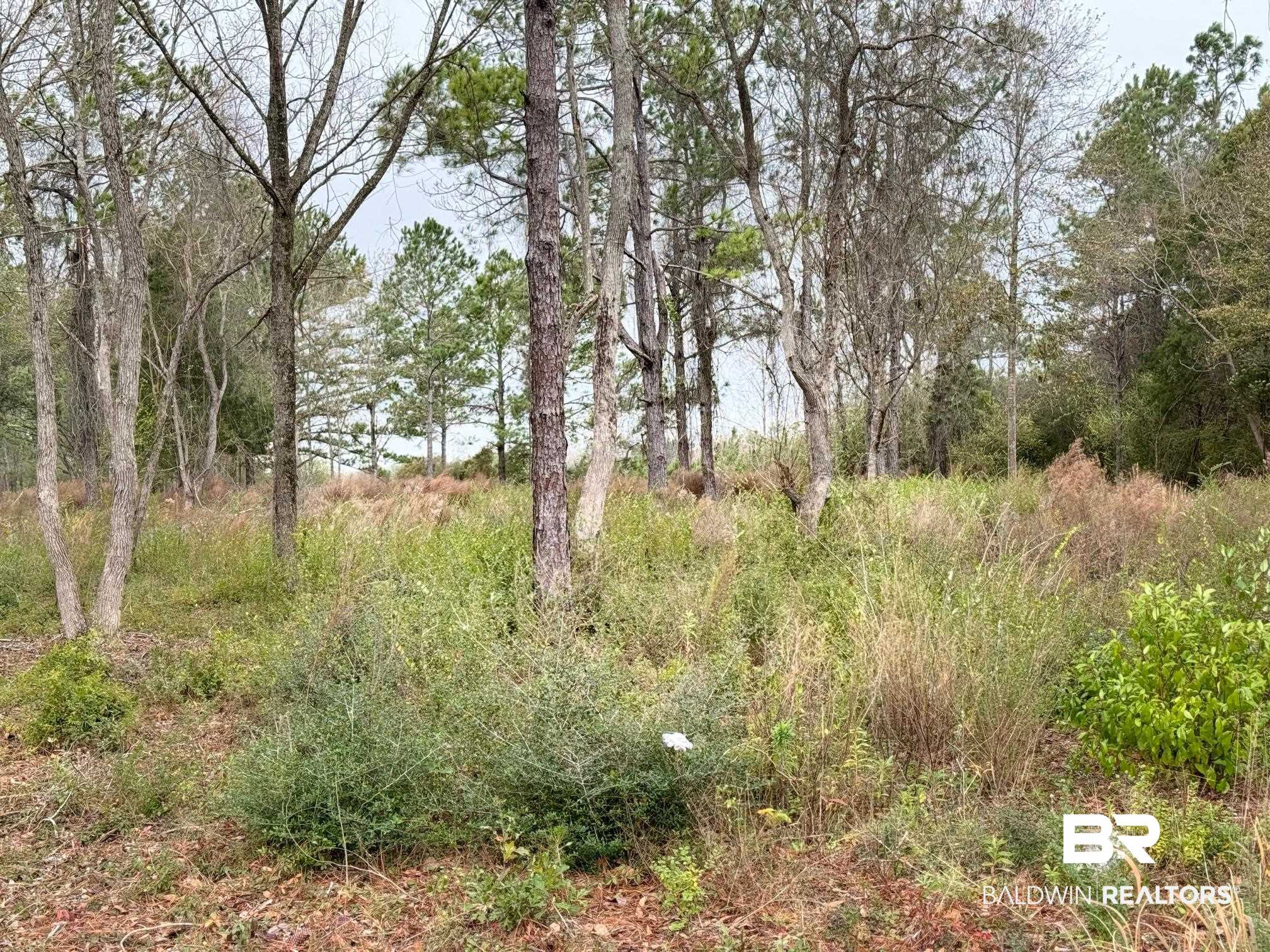 0 Old Brady Road Loxley, AL 36551 - Photo 4 of 7
