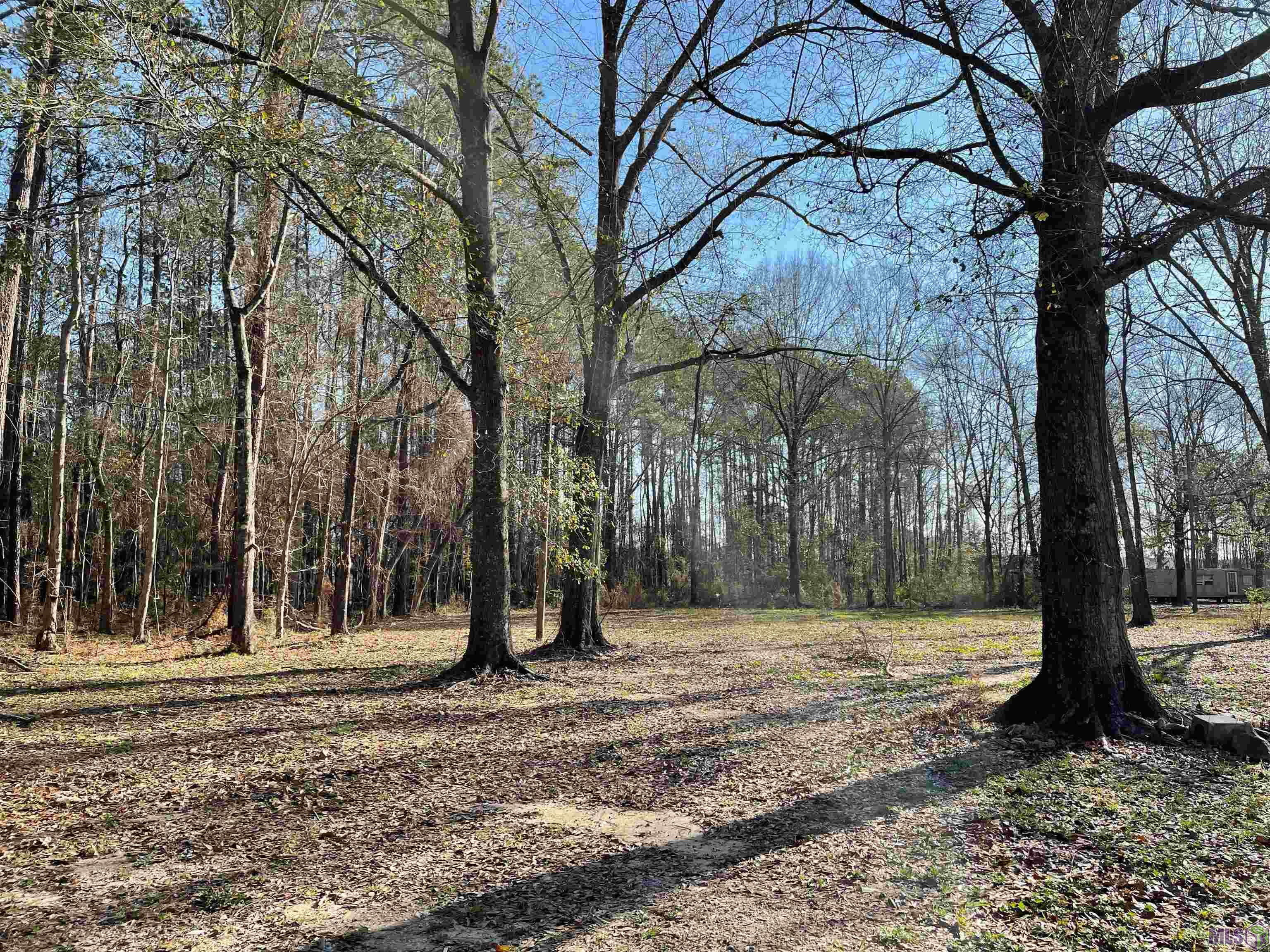 30892 Weiss Road Walker, LA 70785 - Photo 2 of 2