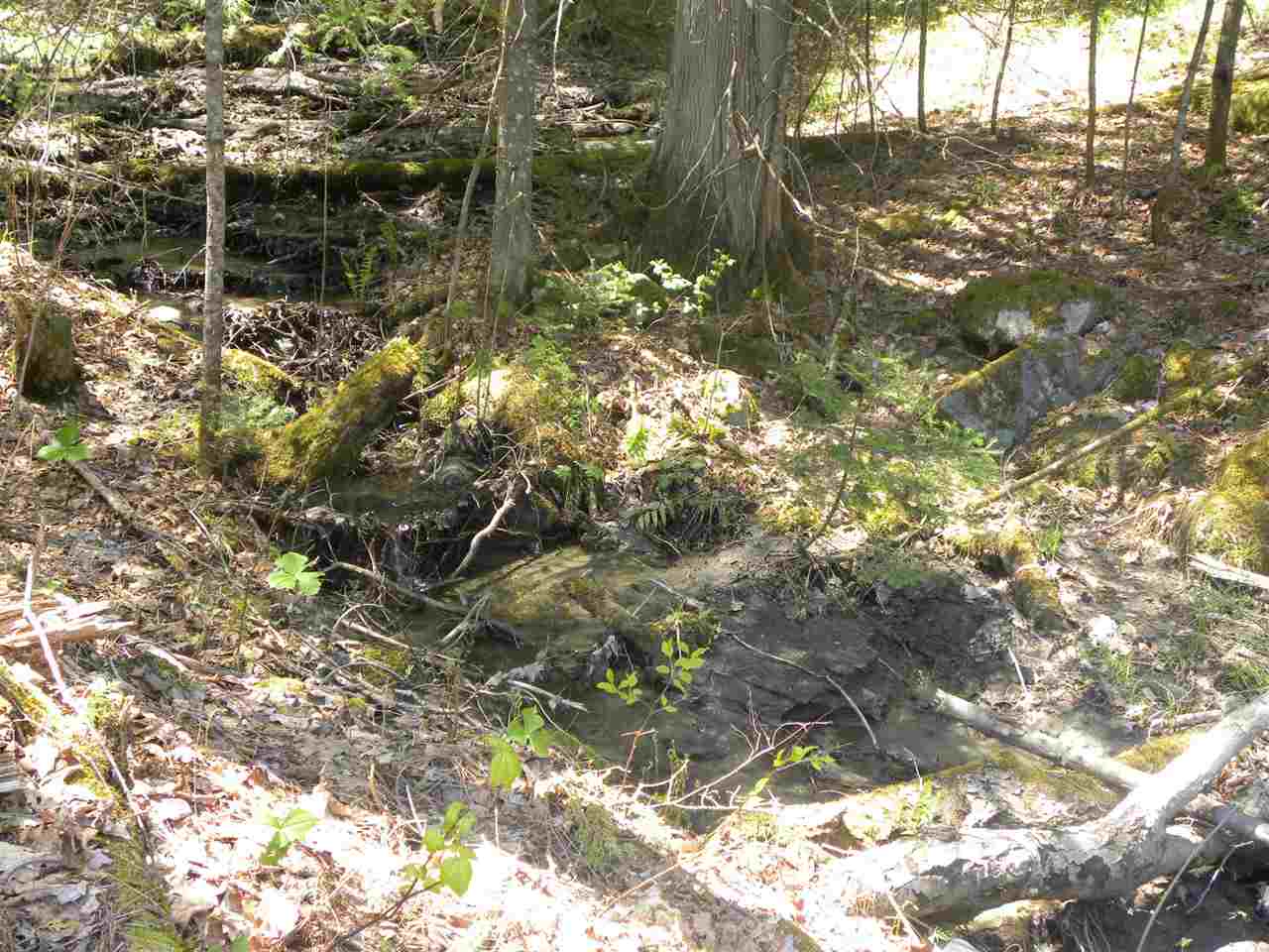 27 Red Schoolhouse Road Wheelock, VT 05851 - Photo 3 of 5 Gallery Image 3