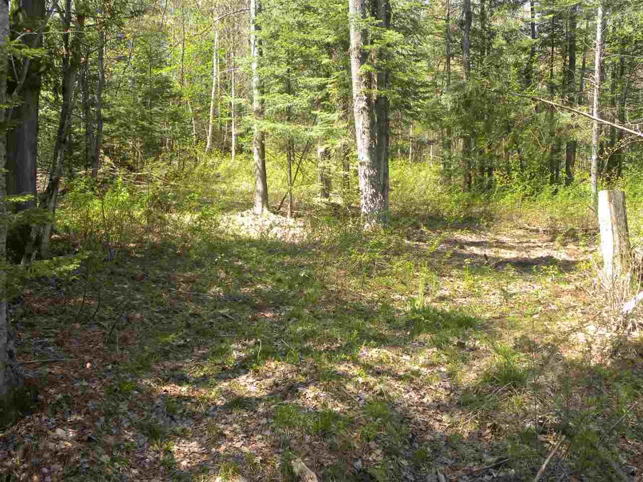 27 Red Schoolhouse Road Wheelock, VT 05851 - Photo 4 of 5 Gallery Image 4