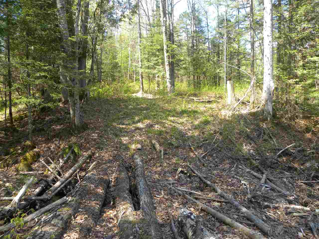 27 Red Schoolhouse Road Wheelock, VT 05851 - Photo 5 of 5 Gallery Image 5