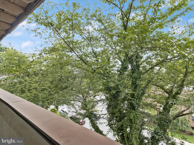 a view of a park with large trees