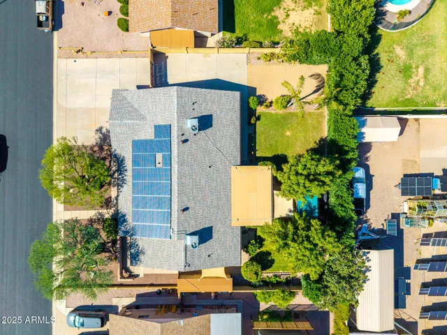 a view of a bunch of flowers in a garden