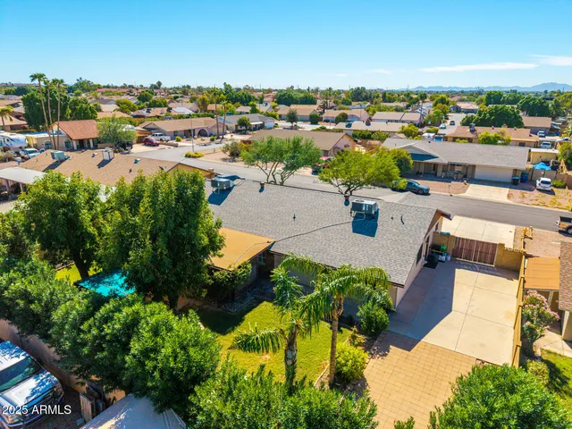 a view of flowers in bunch