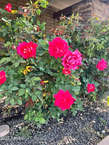 $522,000 | 6042 East Halifax Street, Mesa, AZ 85205