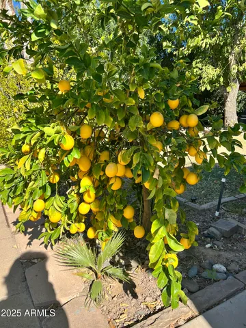 $522,000 | 6042 East Halifax Street, Mesa, AZ 85205