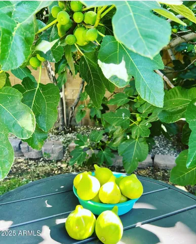 $522,000 | 6042 East Halifax Street, Mesa, AZ 85205