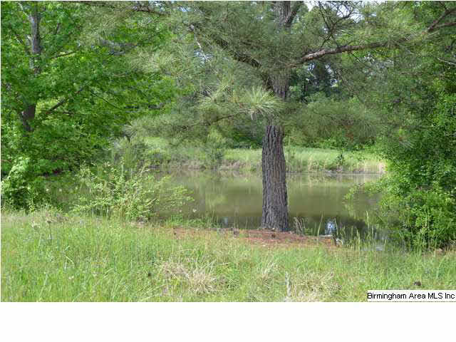 Holly Hills Road, Unit 39 Lincoln, AL 35096 - Photo 1 of 4