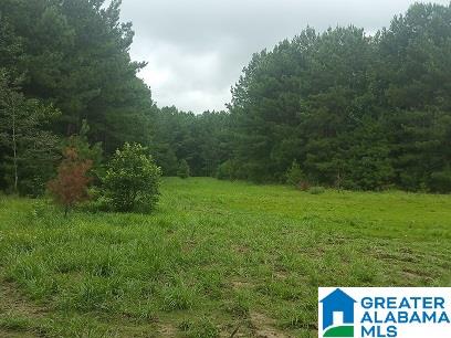 0 Coleman Road Sylacauga, AL 35150 - Photo 5 of 13