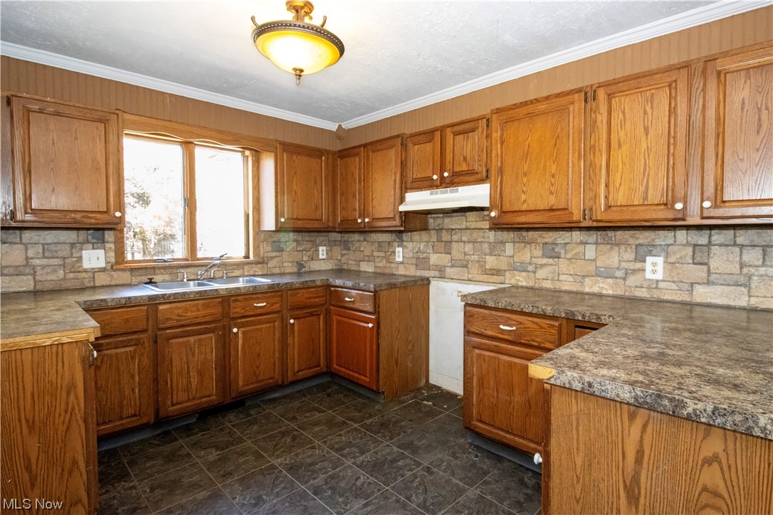 1934 Sherman Road Wooster, OH 44691 - Photo 14 of 23 Kitchen with ornamental molding, tasteful backsplash, sink, and dark tile floors