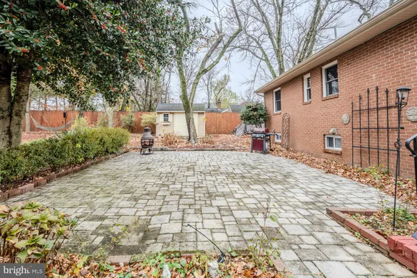 a view of a yard with large trees