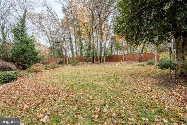 a view of a yard with plants and trees
