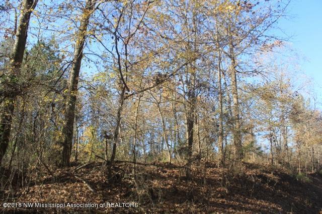 0 Odell Road Holly Springs, MS 38635 - Photo 7 of 8 003 (640x427)