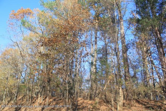 0 Odell Road Holly Springs, MS 38635 - Photo 8 of 8 004 (640x427)