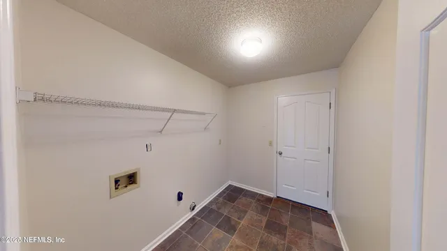 a view of a backyard with plants and a large tree