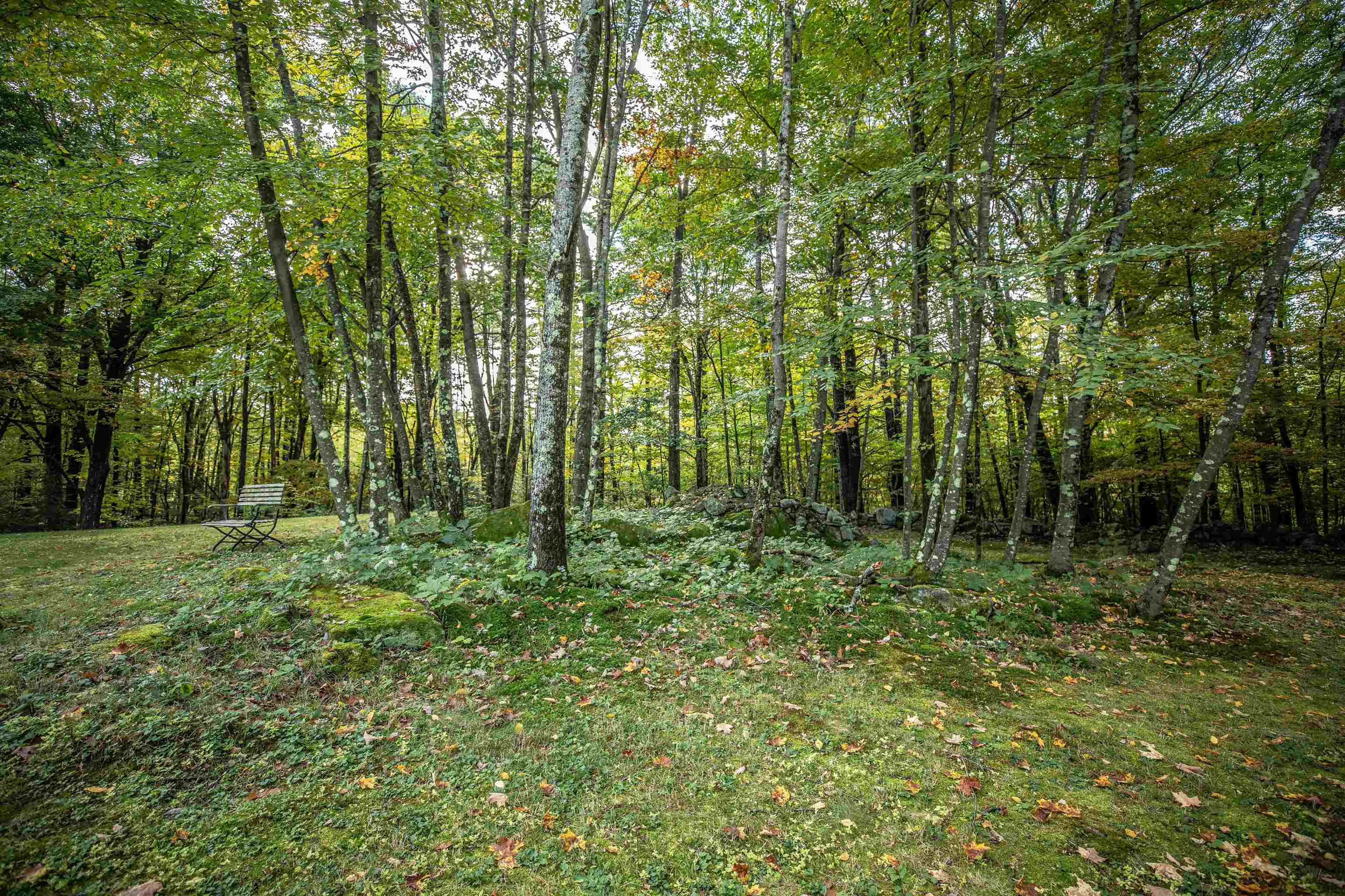 1551 Center Road Lyndeborough, NH 03082 - Photo 5 of 40 Gallery Image 5