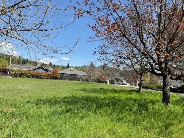 a view of an house with a big yard and large trees