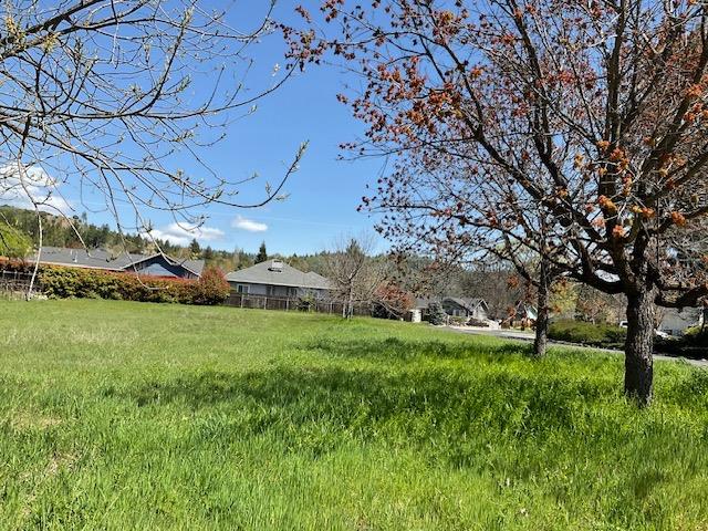 576 Quiet Place Murphys, CA 95247 - Photo 3 of 10