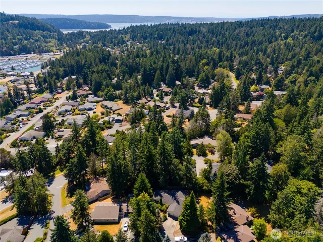a view of a tennis ground with large trees