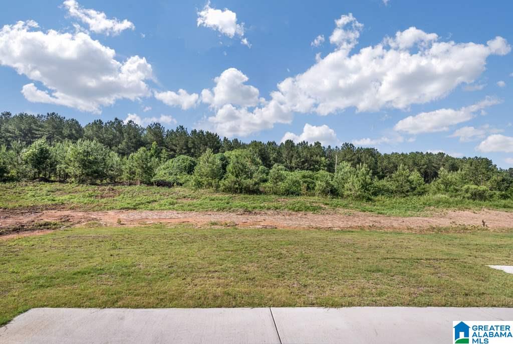 5534 Timber Leaf Way Bessemer, AL 35022 - Photo 34 of 34