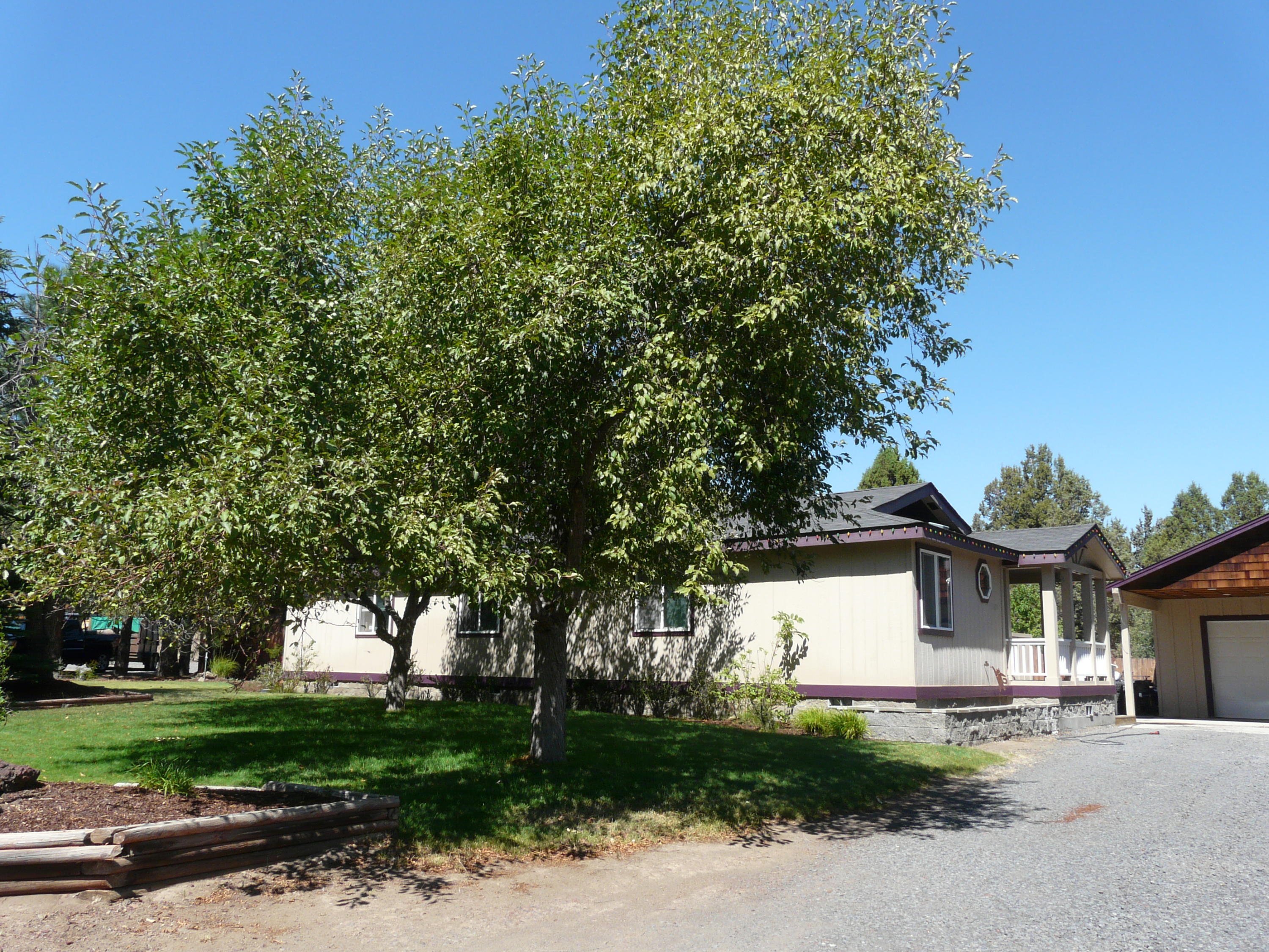 60872 Raintree Court Bend, OR 97702 - Photo 1 of 18 Closer view of the home from front of driveway.