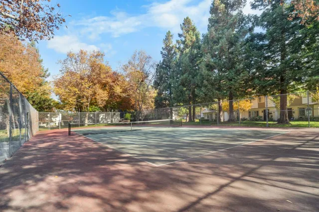 a view of a park with large trees