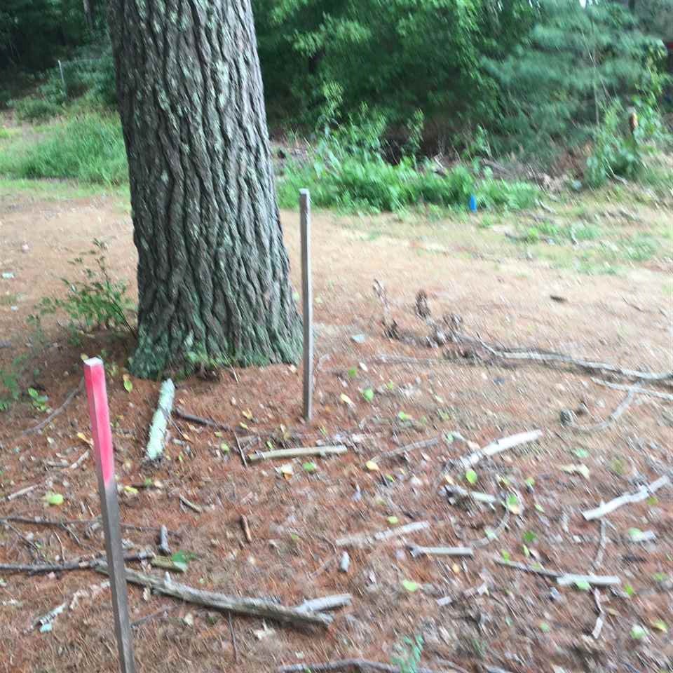 South River Road Bedford, NH 03110 - Photo 15 of 27