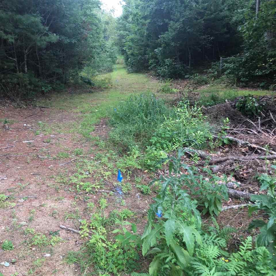 South River Road Bedford, NH 03110 - Photo 4 of 27