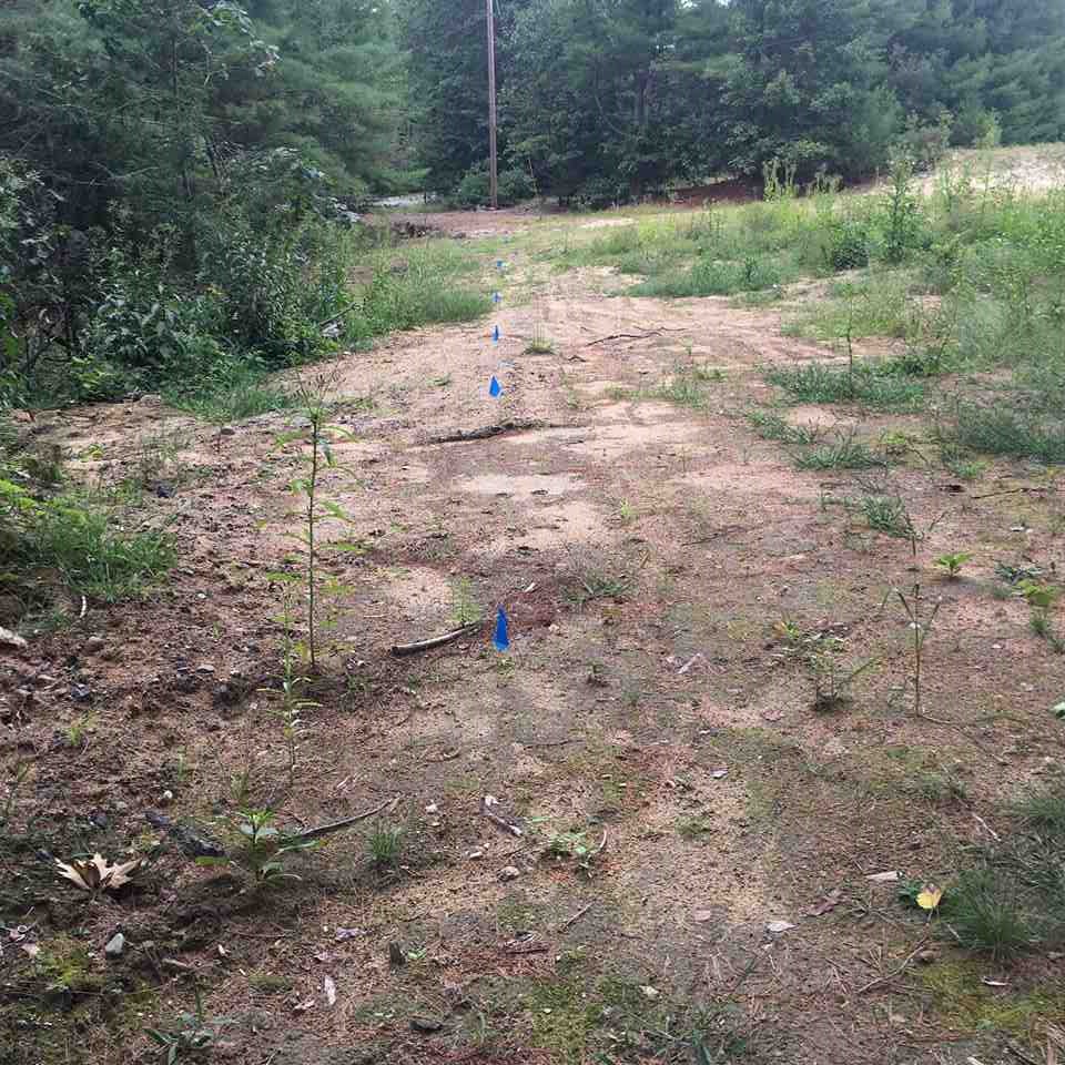 South River Road Bedford, NH 03110 - Photo 5 of 27