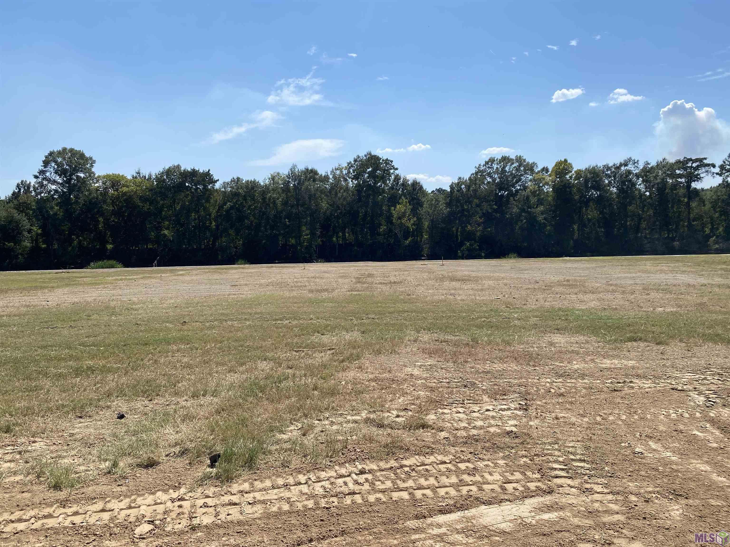 5505 Island Road Jarreau, LA 70749 - Photo 4 of 15 Gallery Image 4