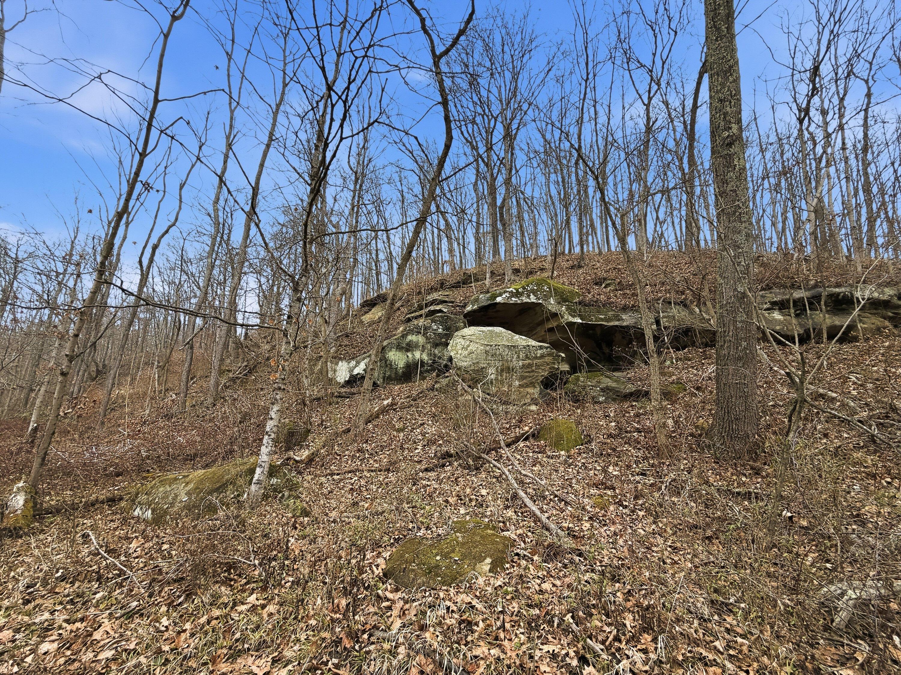 0 Rockville Road Blue Rock, OH 43720 - Photo 16 of 35 Rockville Rd-1-16