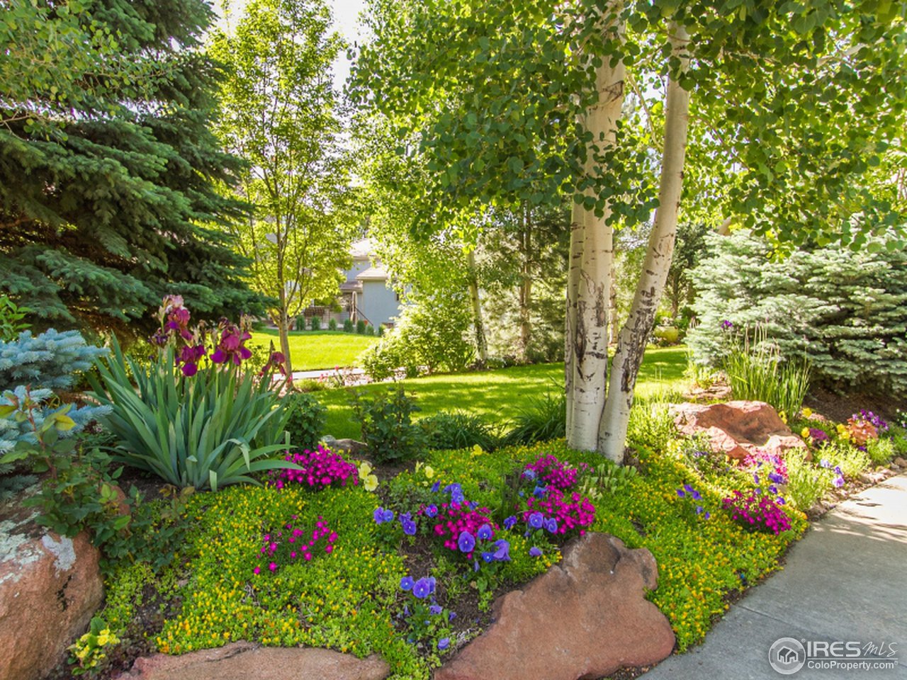 2512 Premier Place Boulder, CO 80304 - Photo 3 of 25 a view of a flower in a yard with swimming pool