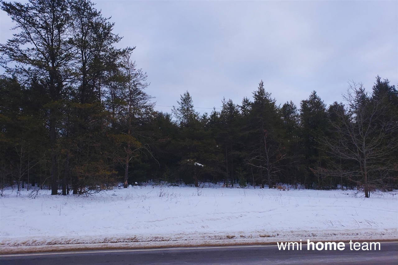 2 West County Line Road Sand Lake, MI 49343 - Photo 2 of 6