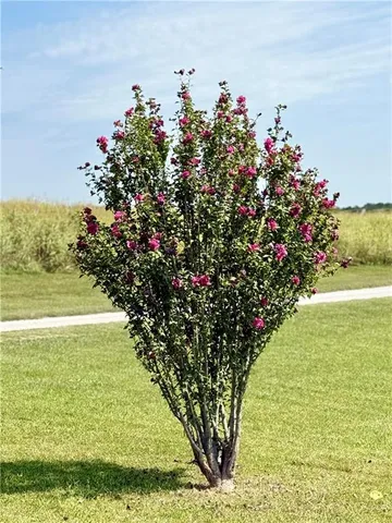 $429,000 | 41759 West 88th Street, Richmond, MO 64085