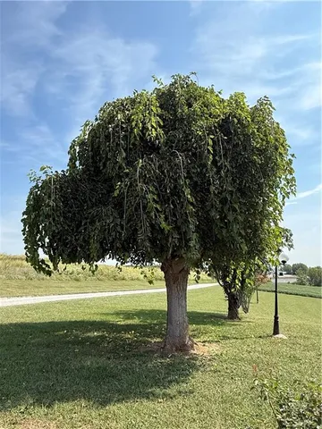 $429,000 | 41759 West 88th Street, Richmond, MO 64085