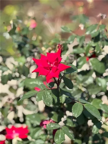 $429,000 | 41759 West 88th Street, Richmond, MO 64085