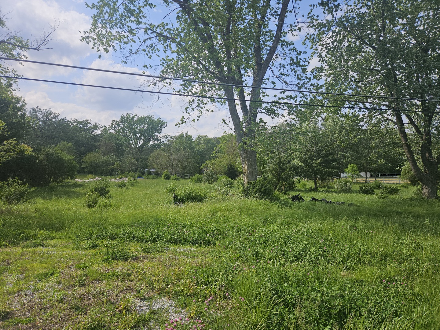 24232 Kings Road Crete, IL 60417 - Photo 4 of 11 a view of a garden