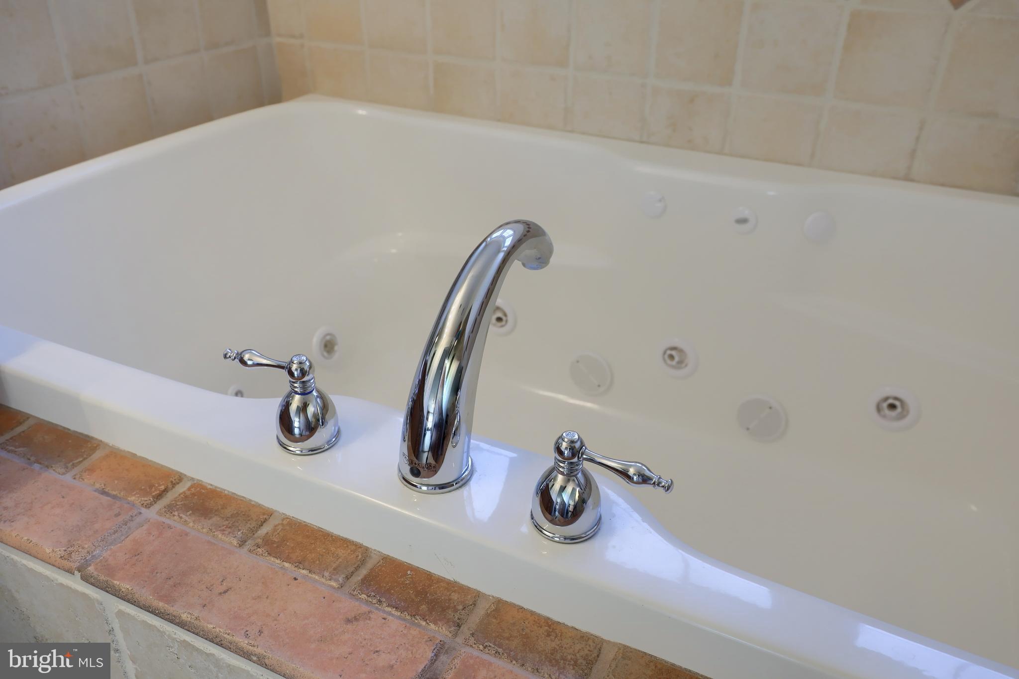 765 Keller Drive Lititz, PA 17543 - Photo 21 of 36 Master bath with jetted tub