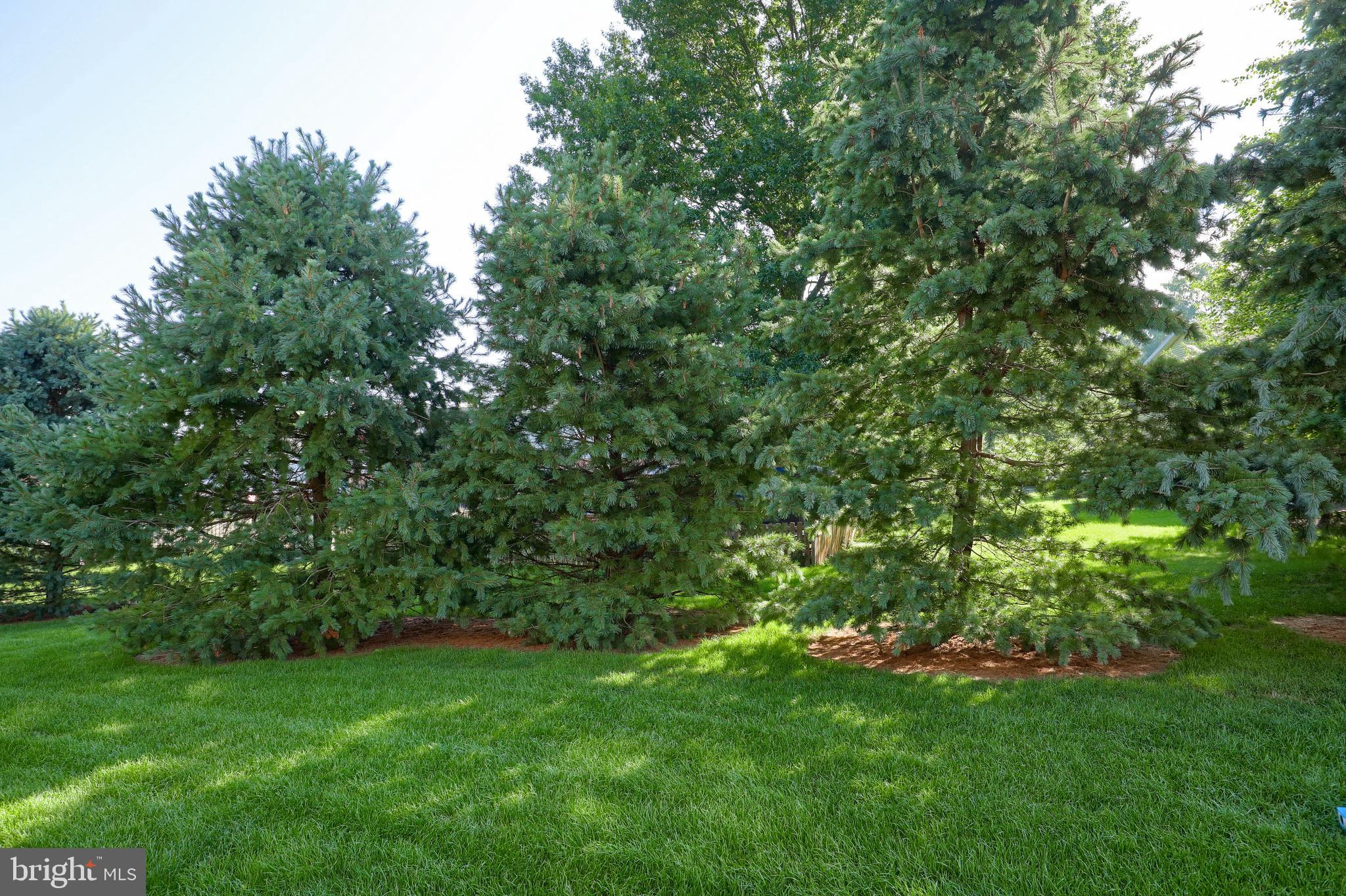 765 Keller Drive Lititz, PA 17543 - Photo 36 of 36 Common area behind home...very pretty!