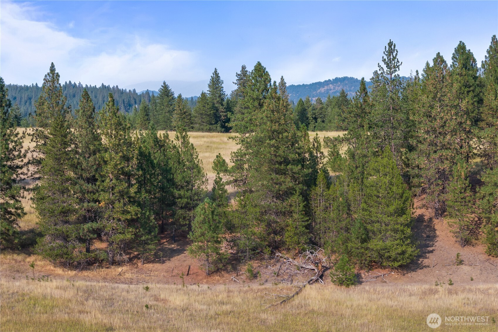 42-xxx Lyons Hill Road Springdale, WA 99173 - Photo 11 of 24