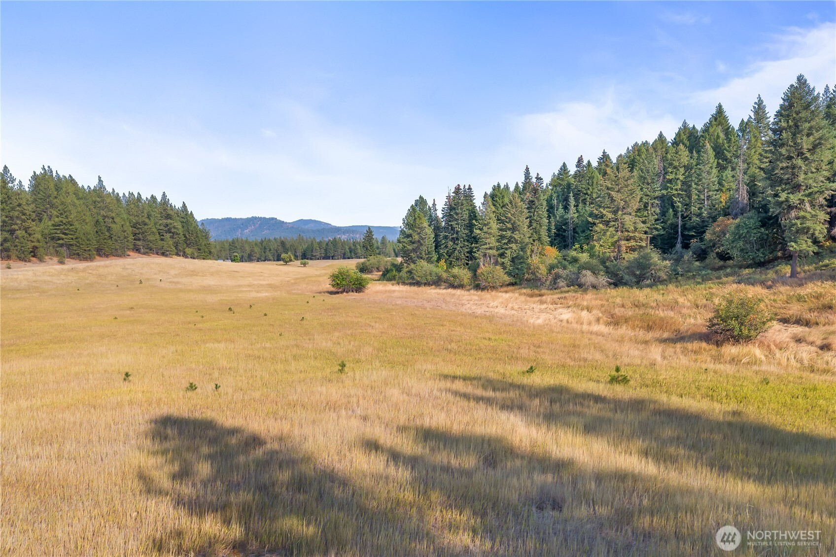 42-xxx Lyons Hill Road Springdale, WA 99173 - Photo 12 of 24