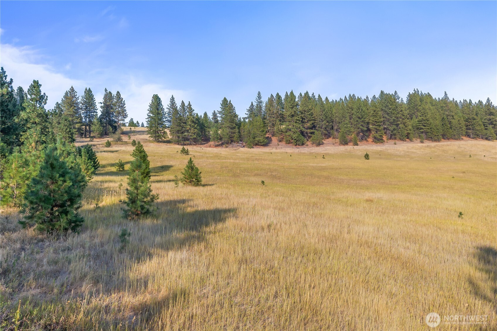 42-xxx Lyons Hill Road Springdale, WA 99173 - Photo 13 of 24