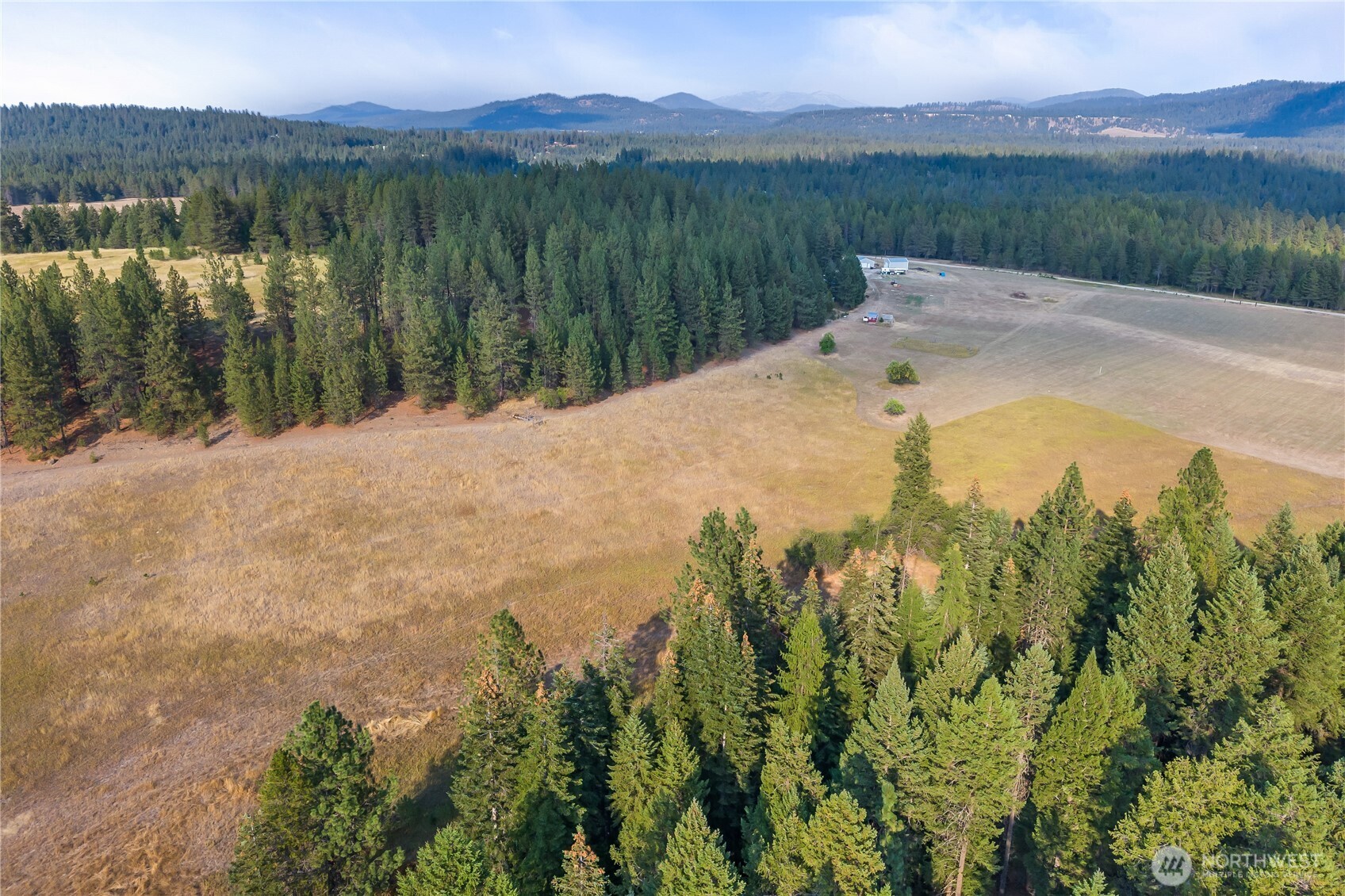 42-xxx Lyons Hill Road Springdale, WA 99173 - Photo 14 of 24