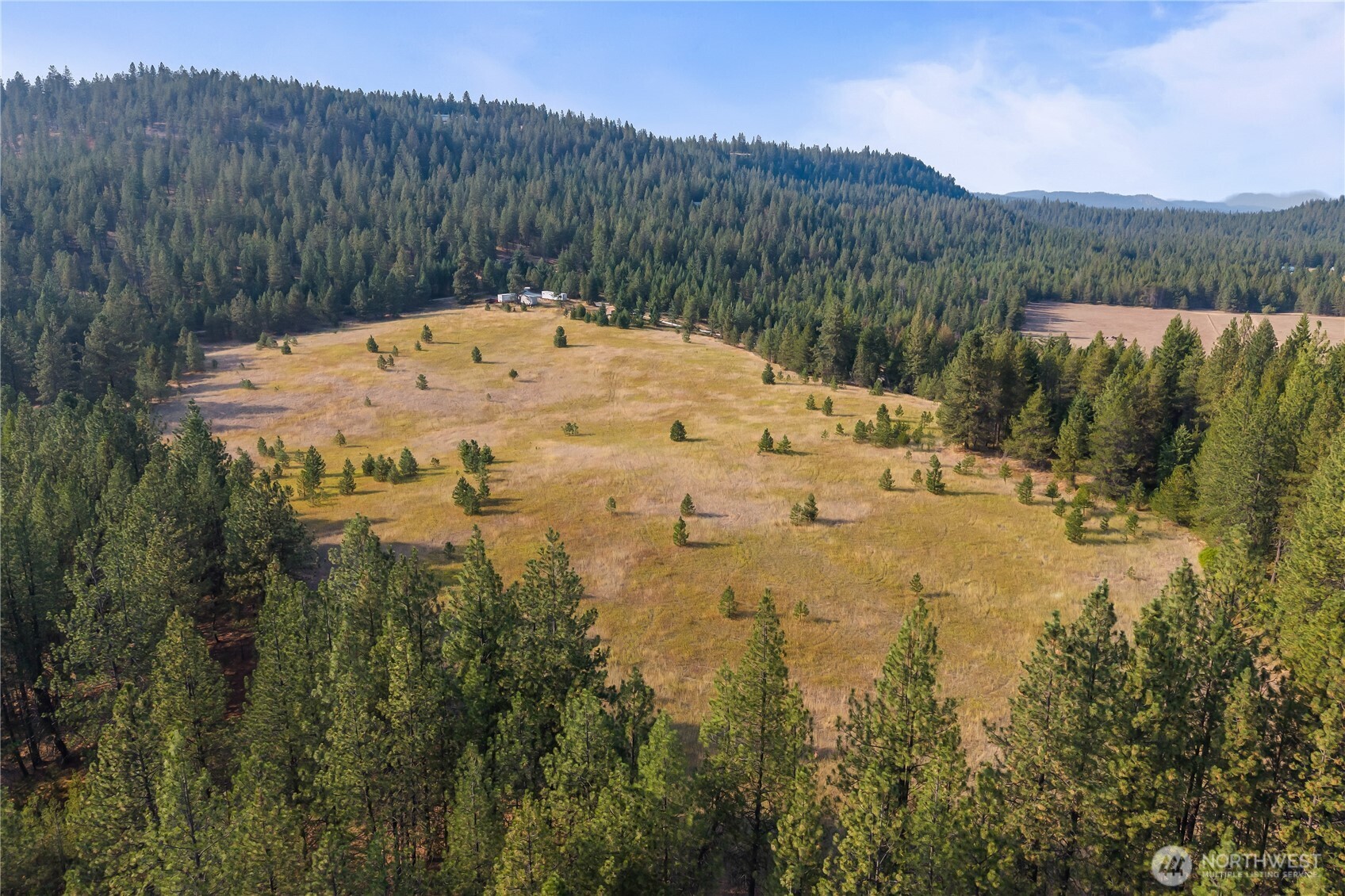 42-xxx Lyons Hill Road Springdale, WA 99173 - Photo 16 of 24